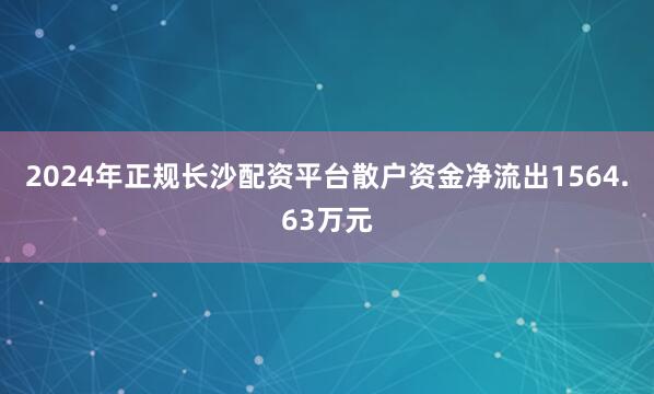 2024年正规长沙配资平台散户资金净流出1564.63万元