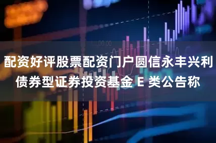 配资好评股票配资门户圆信永丰兴利债券型证券投资基金 E 类公告称