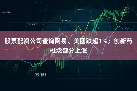股票配资公司查询网易、美团跌超1%；创新药概念部分上涨